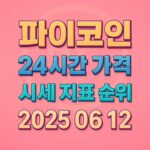파이코인 24시간 가격 시세 지표 순위 2025년 6월 12일 정보를 강조한 디자인 이미지