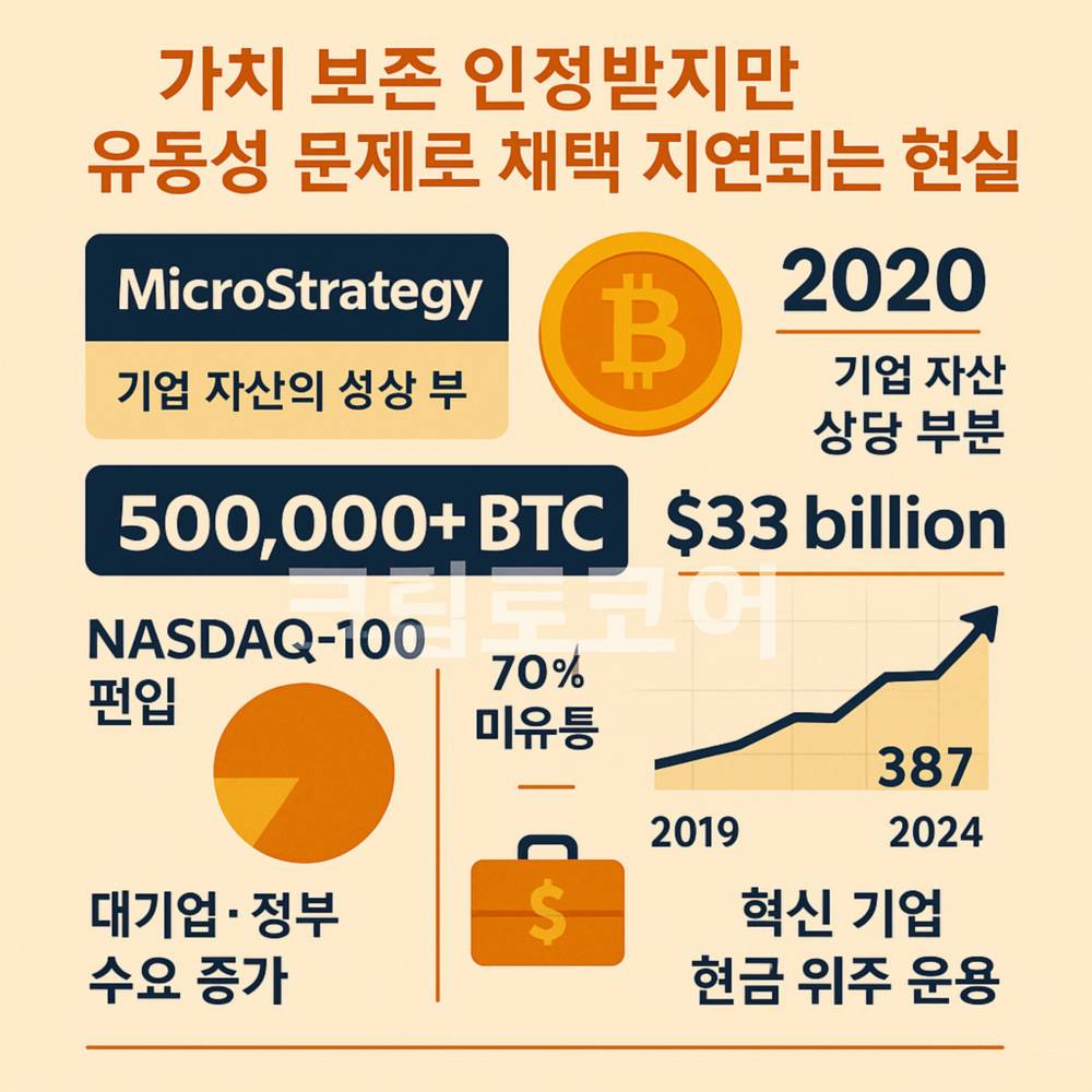 비트코인 가치 보존과 유동성 문제를 강조한 인포그래픽