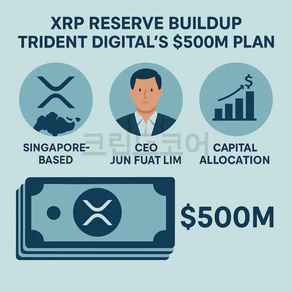 싱가포르 기반 트라이던트 디지털의 5억 달러 규모 XRP 리저브 계획을 요약한 인포그래픽