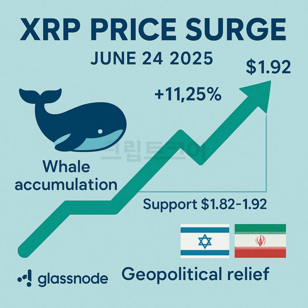 XRP 급등 요인 인포그래픽 – 고래 매집·지지선 반등·지정학 완화