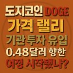 강렬한 오렌지 배경 위에 다양한 색·서체로 배치된 “도지코인 DOGE 가격 랠리 기관 투자 유입 0.48달러 향한 여정 시작됐나?” 타이포그래피 디자인