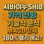 시바이누 SHIB 가격 전망 인포그래픽, 입체 텍스트와 SHIB 로고 배경 강조
