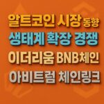 주요 체인 네트워크 4종을 대조적인 색상과 3D 텍스트 효과로 강조한 오렌지 배경 그래픽