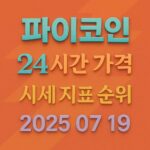 파이코인 24시간 가격 시세 지표 순위 2025‑07‑19을 오렌지‑테라코타 배경 위에 입체 타이포로 강조한 1:1 비율 그래픽