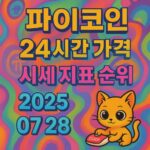 파이코인 24시간 가격 시세 지표 순위 날짜 정보와 함께 강조된 텍스트 인포그래픽 디자인