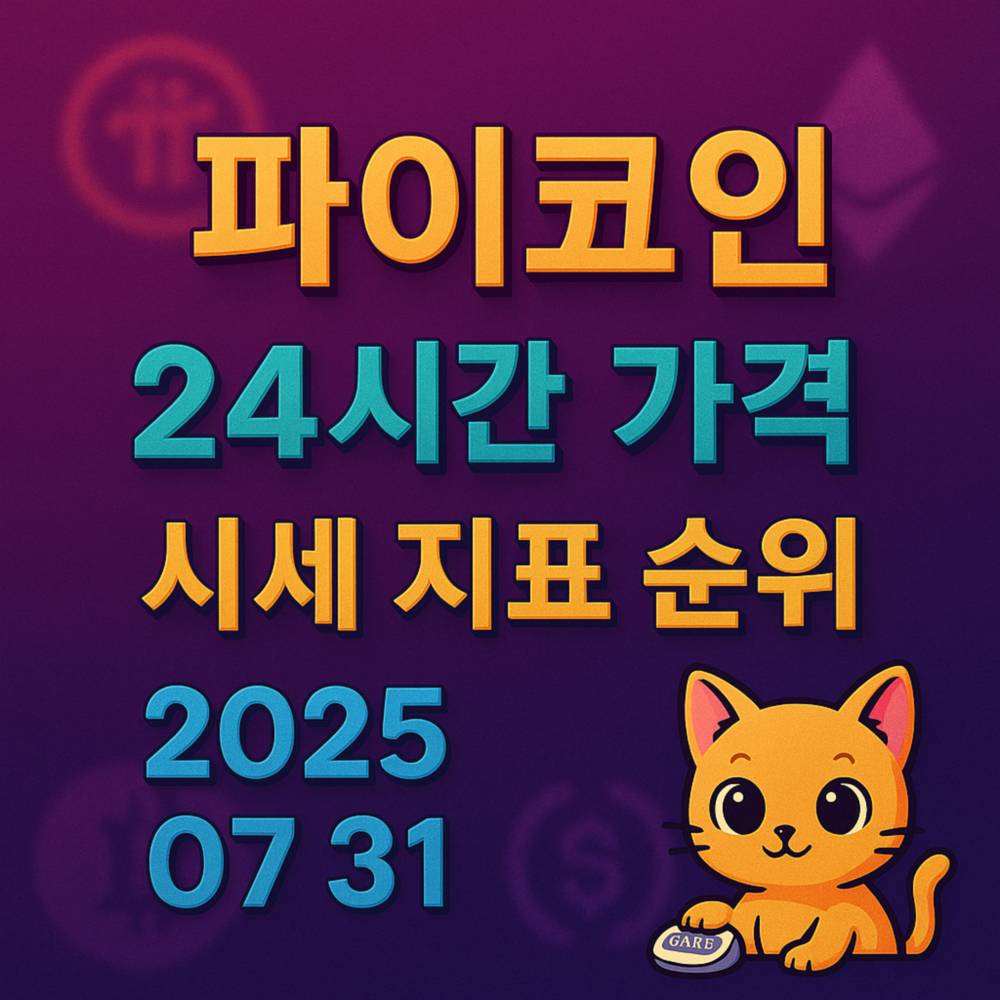 파이코인 24시간 시세 지표 요약 디자인