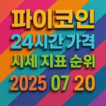 파이코인 24시간 가격·시세 지표 순위를 보여주는 2025년 7월 20일자 컬러풀 인포그래픽