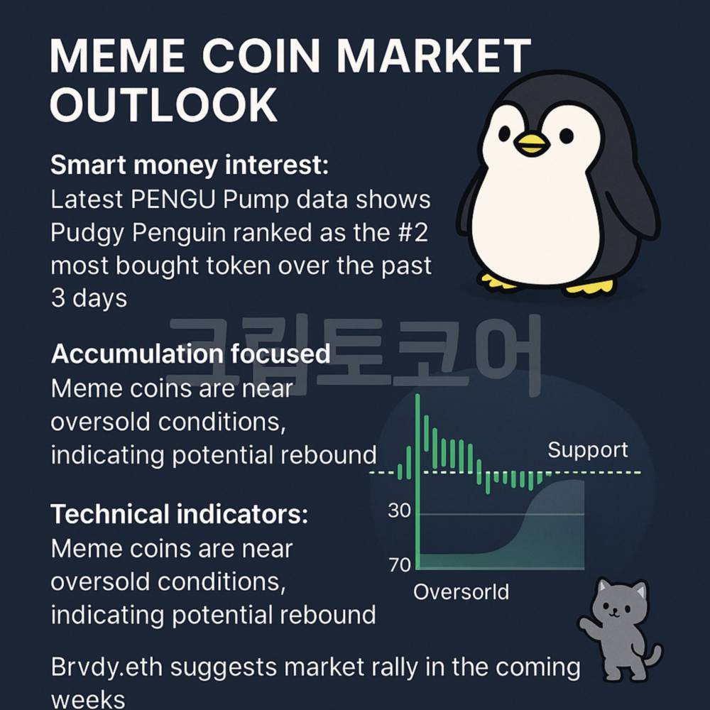 밈코인 시장 전망과 PENGU 토큰의 최근 동향을 시각적으로 보여주는 인포그래픽