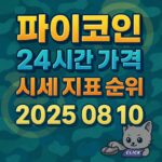파이코인 24시간 가격·시세 지표 순위 2025 08 10 인포그래픽