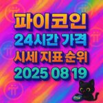 네온 스플래시 감성의 1:1 인포그래픽 배경 위에 ‘파이코인 · 24시간 가격 · 시세 지표 순위 · 2025 08 19’ 문구를 굵은 3D 타이포로 중앙 정렬해 대비감을 높인 디자인