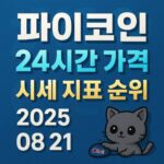 블루 톤 배경에 ‘파이코인·24시간 가격·시세 지표 순위·2025 08 21’ 타이포를 입체 그림자 효과로 중앙 정렬한 정사각형 카드 디자인