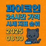 파이코인 24시간 시세 지표 인포그래픽 이미지