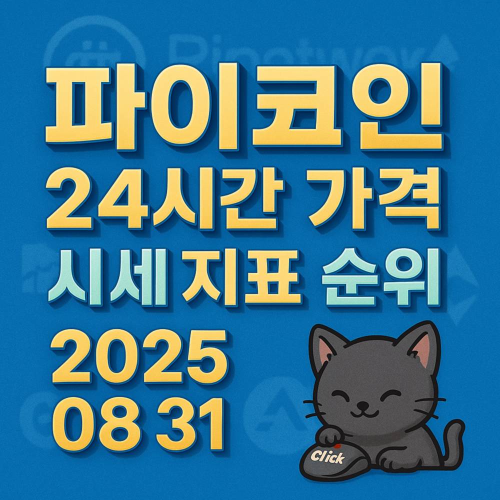 파이코인 24시간 가격 시세 지표를 나타낸 블루 배경의 인포그래픽