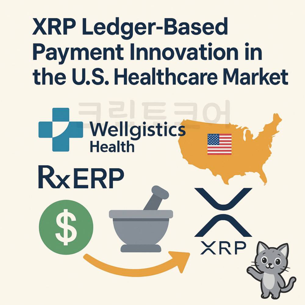 미국 헬스케어 시장에서 XRP 레저 기반 결제 혁신을 설명하는 인포그래픽