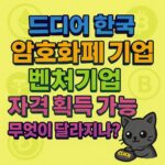 한국 암호화폐 기업 벤처자격 소식을 강조하는 화려한 폰트 이미지