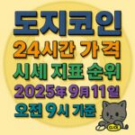 도지코인 24시간 가격 정보와 지표 순위를 강조하는 인포그래픽 디자인