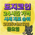 도지코인 24시간 시세 정보를 보여주는 인포그래픽
