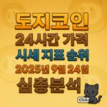도지코인 24시간 가격·시세 지표 순위 인포그래픽