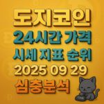 도지코인 24시간 가격·시세 지표 순위·2025 09 29·심층분석 텍스트가 선명한 1:1 썸네일