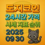 도지코인의 24시간 시세 지표 정보를 강조한 디자인 이미지