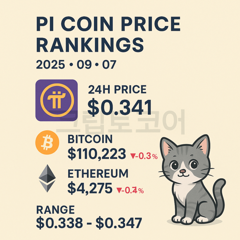 Pi 코인 가격 현황을 보여주는 인포그래픽 이미지