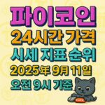 파이코인의 24시간 가격 시세를 시각적으로 표현한 인포그래픽 이미지