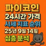 파이코인 24시간 가격과 시세 지표를 강조한 오렌지 배경의 입체 텍스트 이미지