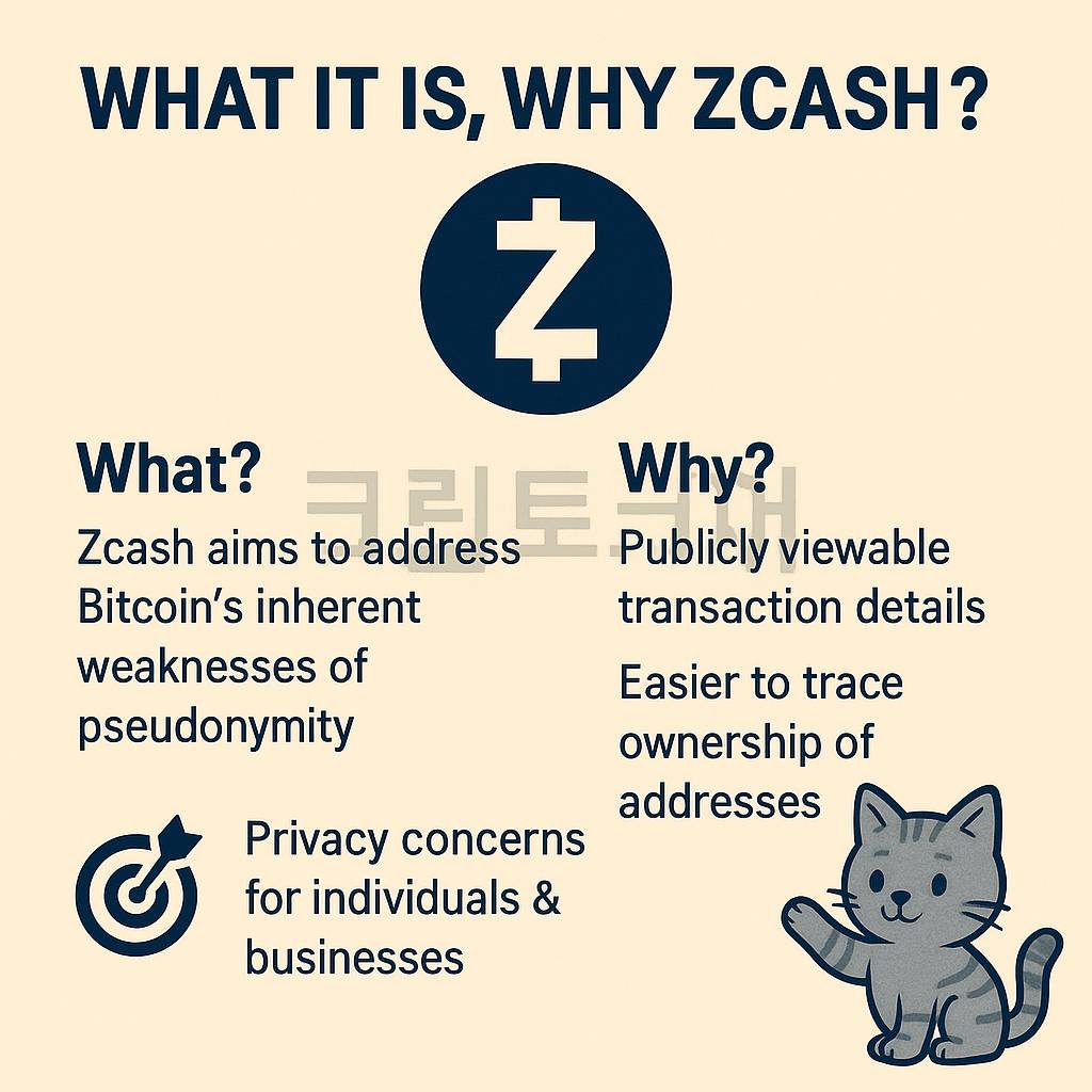 Zcash 목적과 프라이버시 문제를 설명하는 인포그래픽