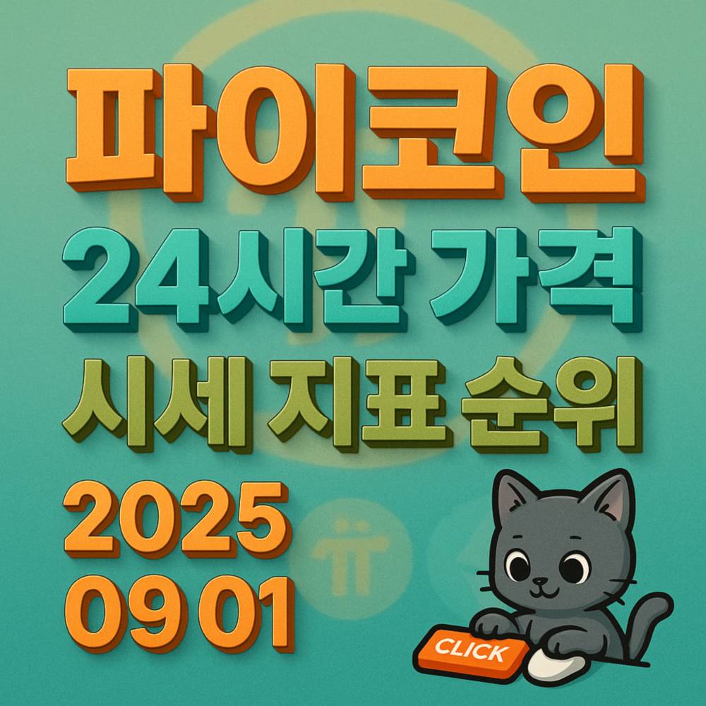 파이코인의 24시간 가격과 시세 지표 순위를 전하는 인포그래픽 스타일 이미지