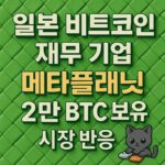 일본 재무 기업 메타플래닛의 비트코인 보유 현황에 대한 내용을 다룬 시각 자료