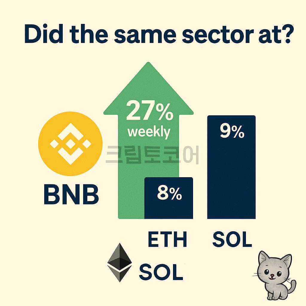 BNB, 이더리움, 솔라나의 주간 상승률을 비교한 인포그래픽