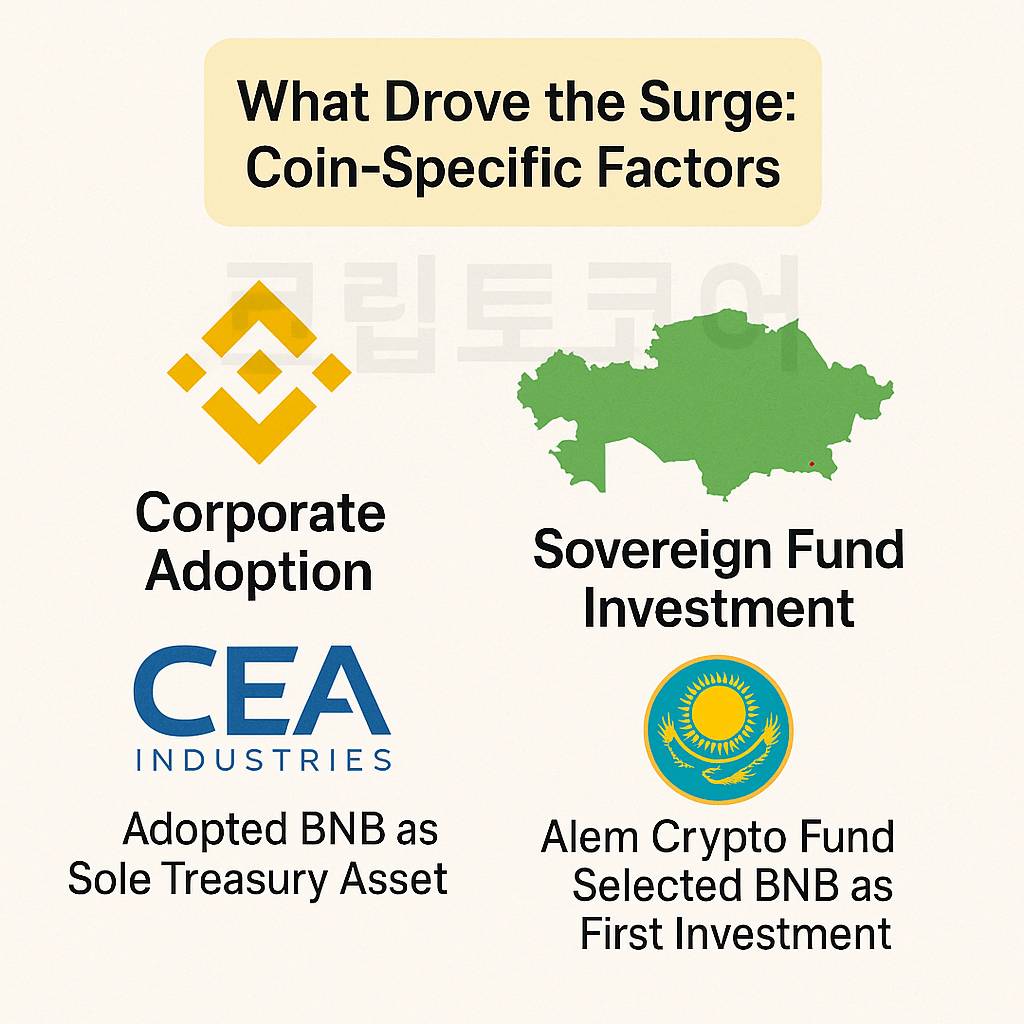 BNB 가격 급등의 핵심 요인을 시각화한 인포그래픽