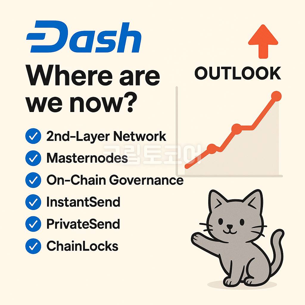 대시(Dash) 프로젝트의 핵심 기능과 향후 전망을 설명하는 인포그래픽