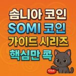 솜니아 코인 안내 이미지를 강조하는 정보 중심형 배너 디자인