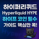 하이퍼리퀴드 Hyperliquid HYPE 가이드 핵심 이미지, 1:1 비율