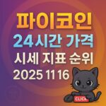 파이코인 24시간 가격 시세 지표 순위와 날짜를 강조한 보라색·오렌지 그라데이션 배경의 정사각형 인포그래픽
