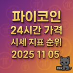 파이코인 24시간 가격 시세 지표 순위 2025 11 05 인포그래픽