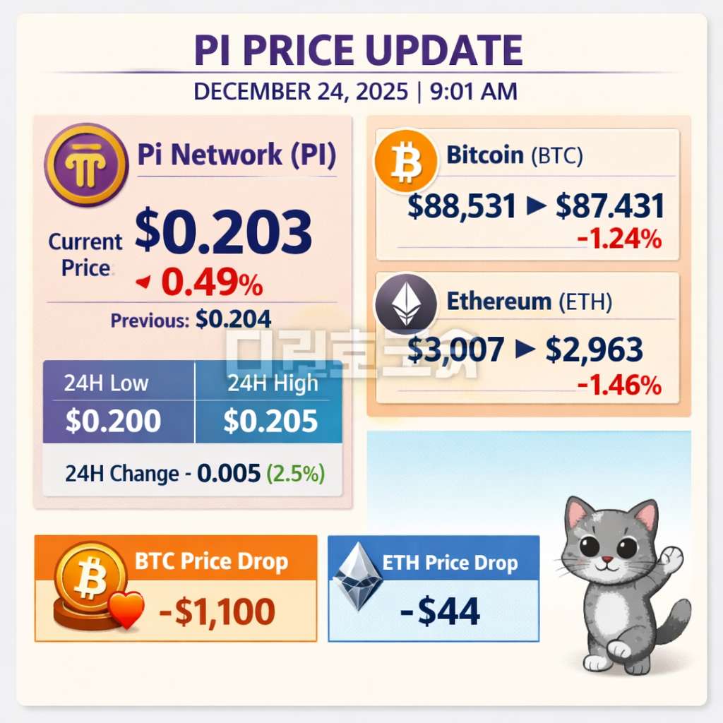 오늘 파이코인 24시간 가격 시세 지표 순위 2025년 12월 24일 가격 인포그래픽